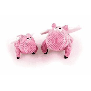 Flying Pig