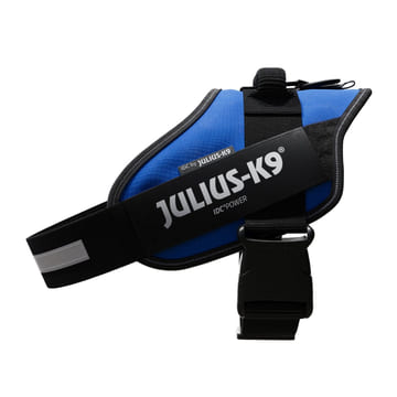 Harnais IDC Power - bleu