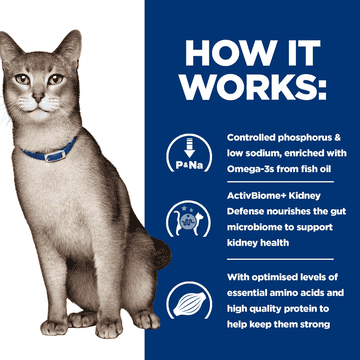 Feline k/d Kidney Care Chicken