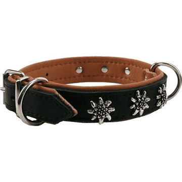 Leather collar with edelweiss decoration