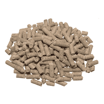 Amino Muskel Plus - Amino Muscle