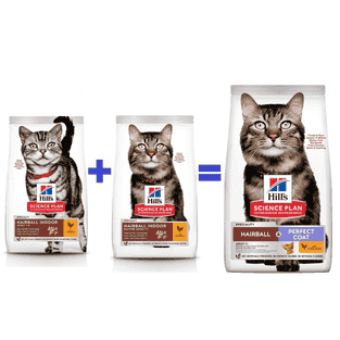 Feline Hairball Indoor Mature Adult 7+