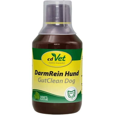 DarmRein Hund