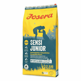 Sensi Junior