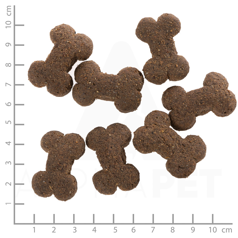 Red Rock Cracker