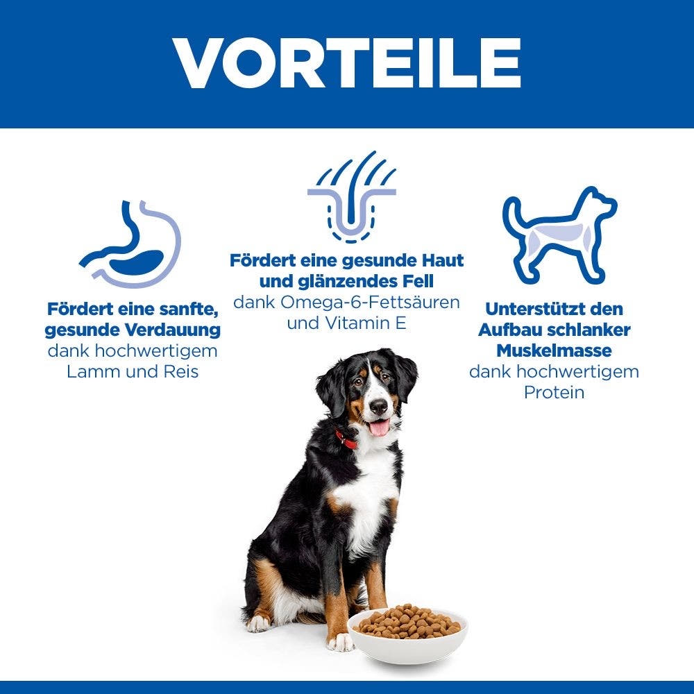 Canine Adult Large Breed Lamb & Rice