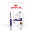Pill Assist Small Dog