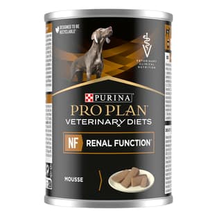 CANINE NF Mousse