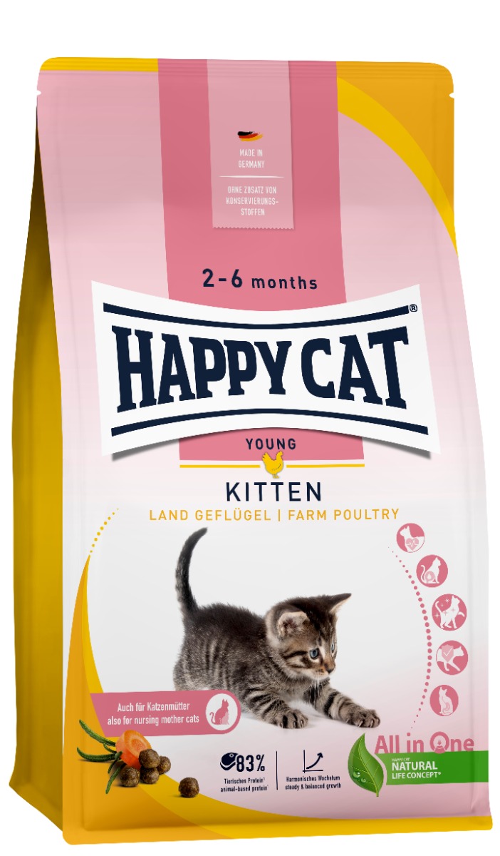Young Kitten Country Poultry