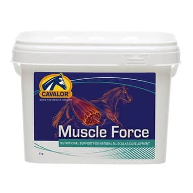 Muscle Force