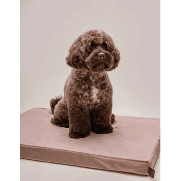 Matelas orthopédique pour chiens Chill Dusty Rose