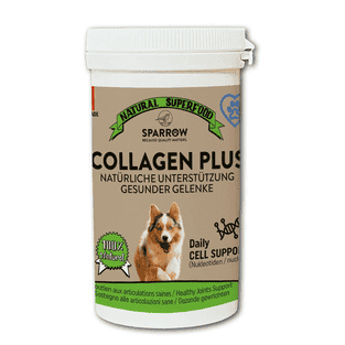 Dog Collagen+ Nucleotide Cell Support
