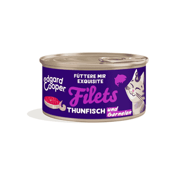 Feline Thunfisch und Garnele - Dose