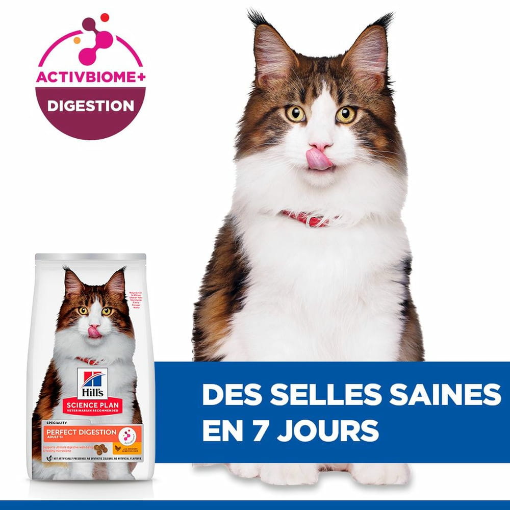 Feline Perfect Digestion