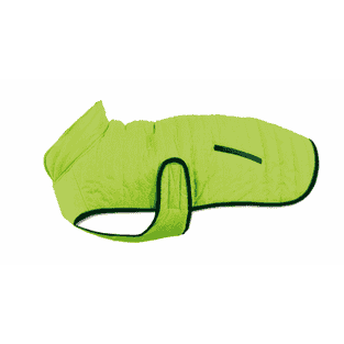 Manteau pour chien Pump-it, vert clair