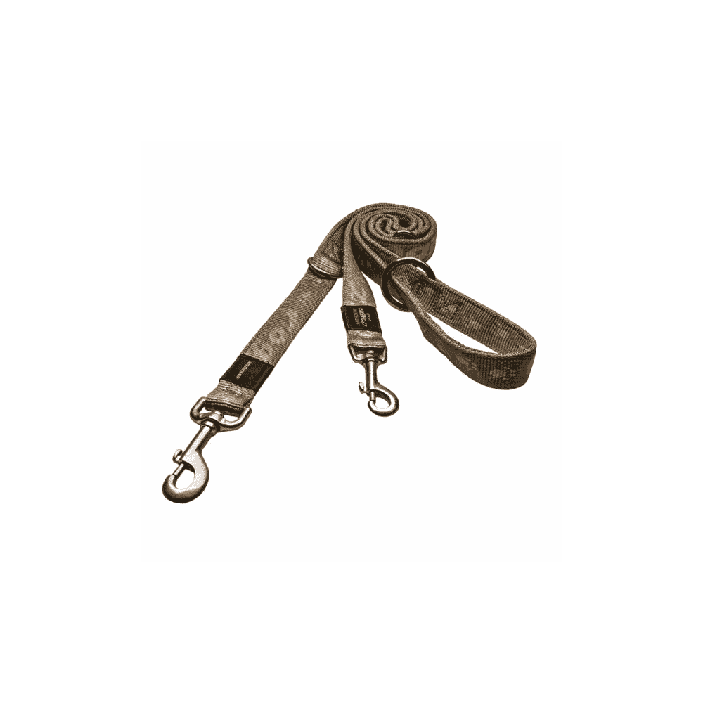Dog leash Alpinist gold