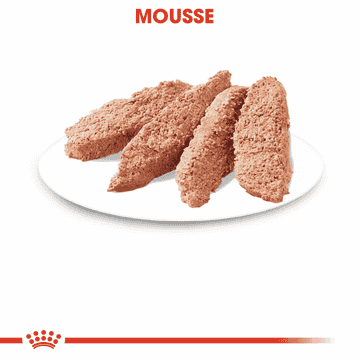 Instinctive mousse - sachet