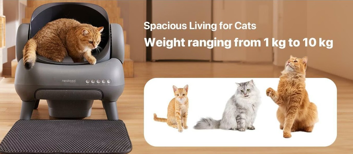 M1 Litter Box