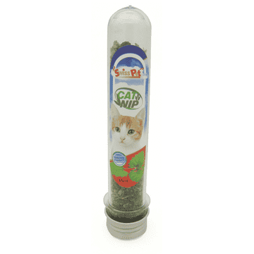 Catnip
