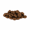 Puppy Large Breed - Lachs & Truthahn