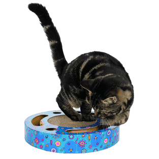 Tambour à gratter avec jouet