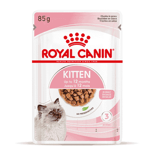 Kitten en sauce - sachet