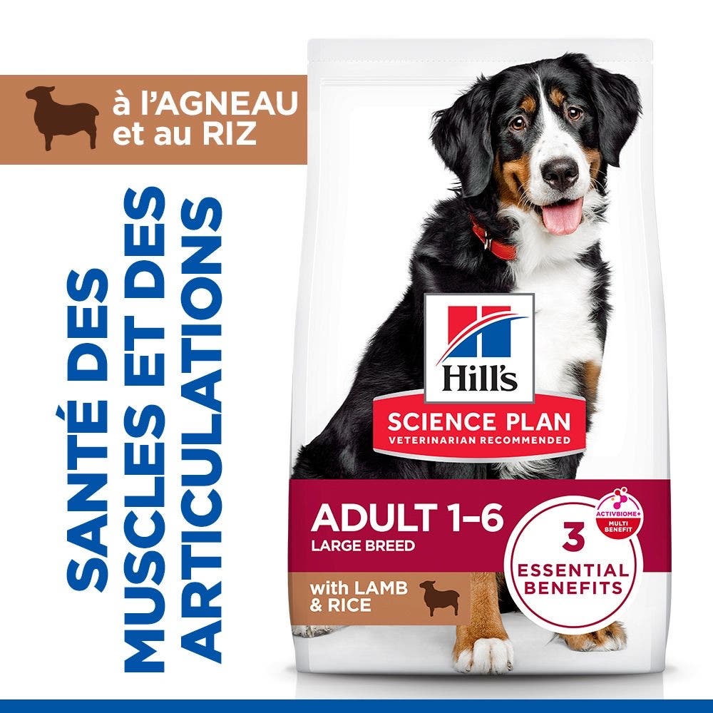 Canine Adult Large Breed Lamb & Rice