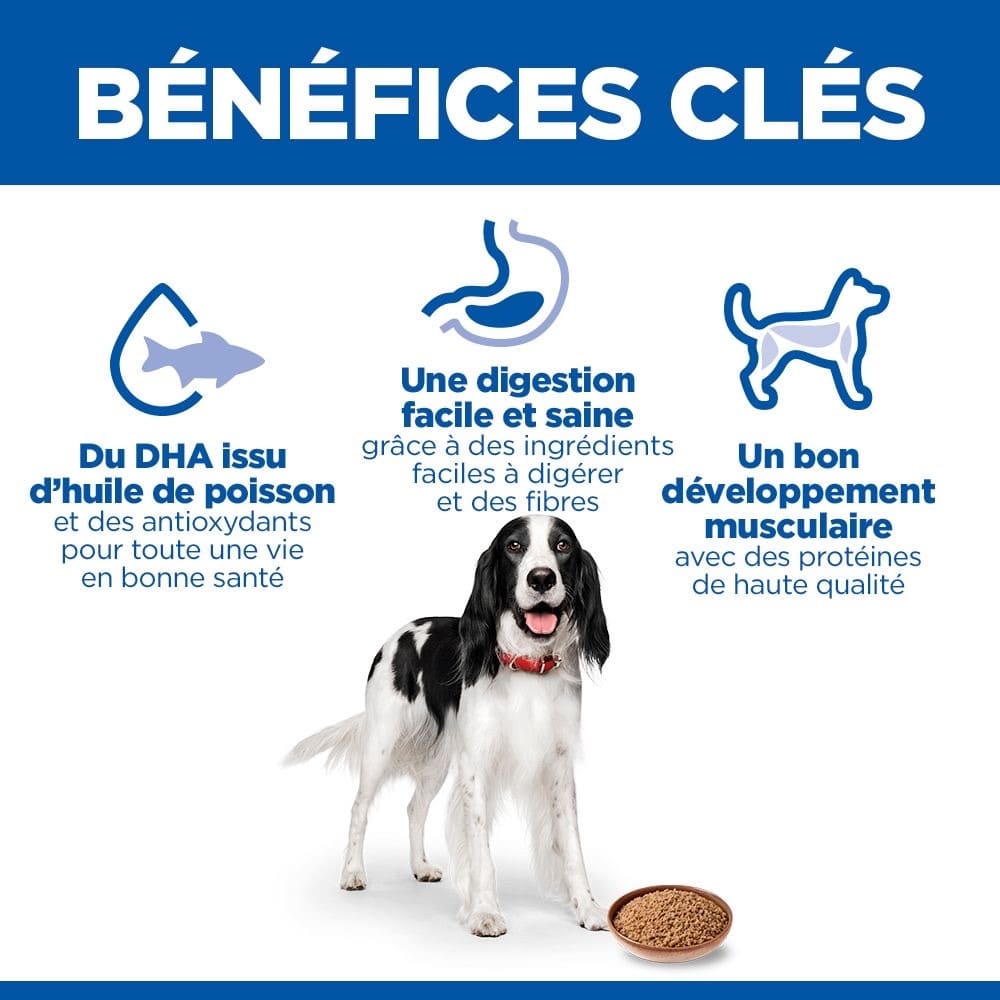 Canine Adult Chicken - Boîte