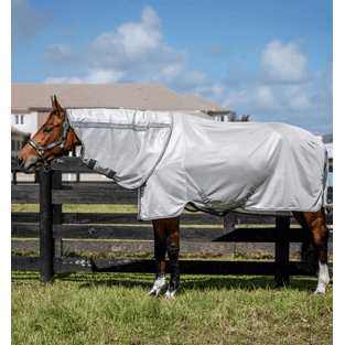 Amigo Bug Rug Plus Fly Rug