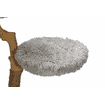 Arbre à chat en bois Ziza