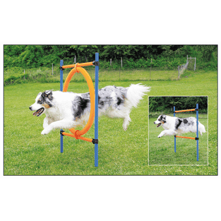 Agility Sprungring 2 in 1