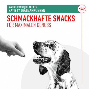 Satiety Snacks
