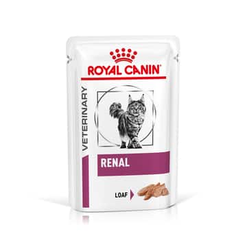 Renal Cat - Loaf