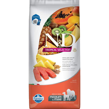 Canine Adult Medium/Maxi Lachs