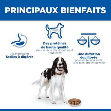 Canine Adult 1-6 Delicious Cuisine with chicken & added vegetables boîte