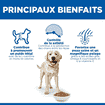 Canine Adult Light Large Breed