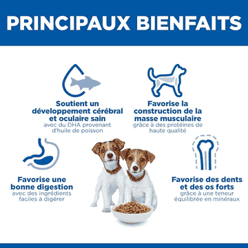 Puppy Small & Mini Breed