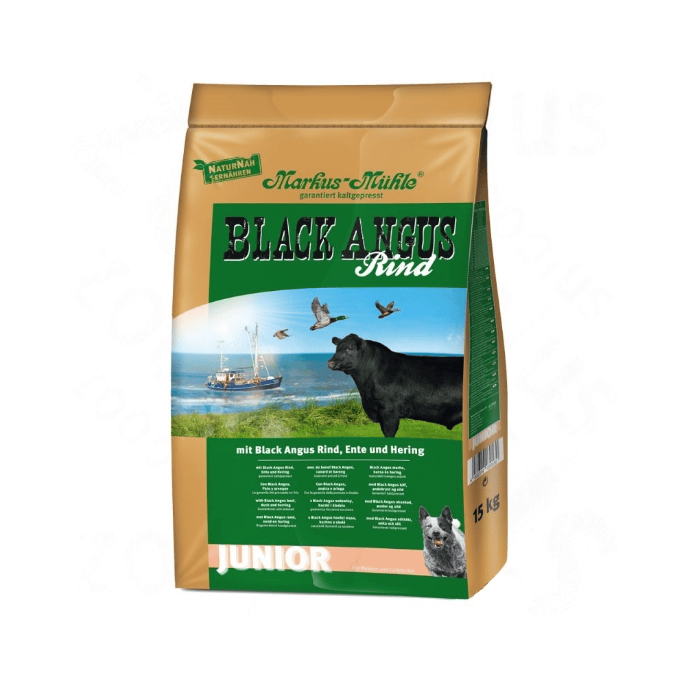 Black Angus Junior