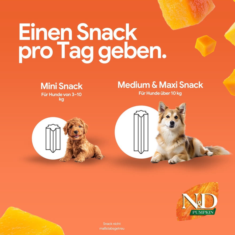 Canine Adult Medium/Maxi Lamm & Heidelbeeren - Dental Treat