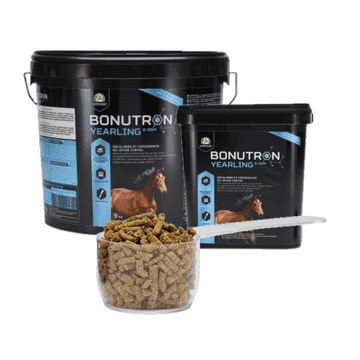 Bonutron Yearling 6-36m