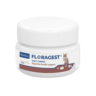 Floragest Soft Chews Katze