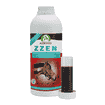 Zzen