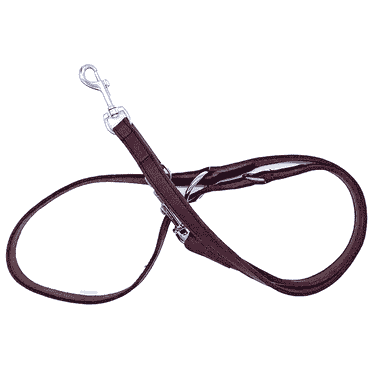 Laisse en cuir souple 180 cm