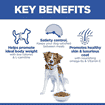Canine Adult Light Medium Breed