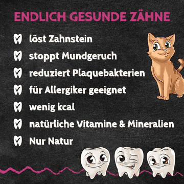 Zahnputzkohle Katze
