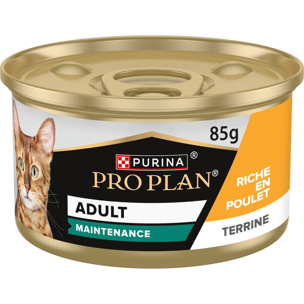 Adult Maintenance Terrine Chicken