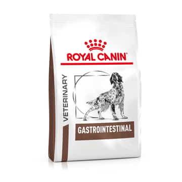 Gastrointestinal Dog