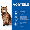 Feline Sensitive Stomach & Skin Adult - Frischebeutel