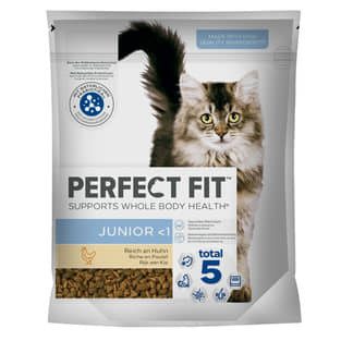 Junior mit Huhn