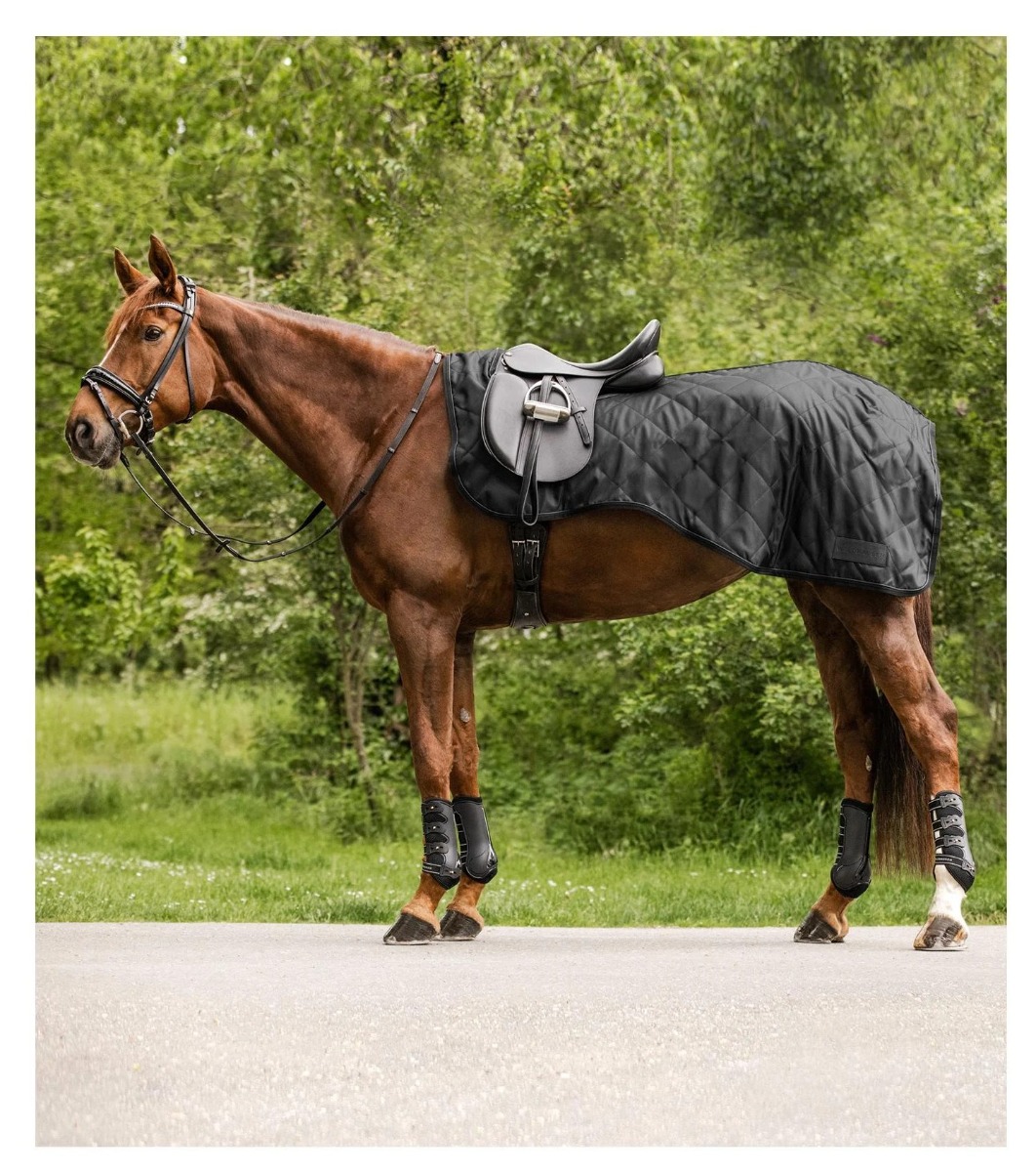 Nierendecke Exclusive black